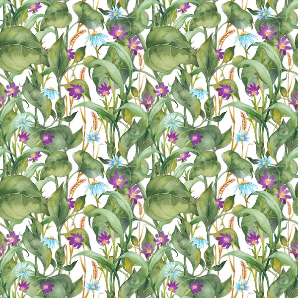 Naadloos Patroon Met Wilde Bloemen Tarwepitten Groene Bladeren Aquarel Illustratie — Stockfoto