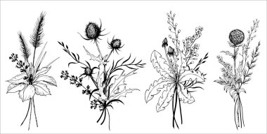 Bir demet çiçek buketi. El çizimi siyah ve beyaz vektör çizimi.