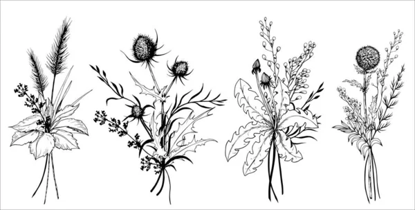 Set Meadow Floral Bouquets Hand Drawn Black White Vector Illustration — Vetor de Stock