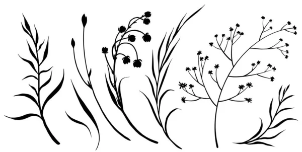 Set Decorative Wild Meadow Flowers Branches Hand Drawn Black White — Vettoriale Stock