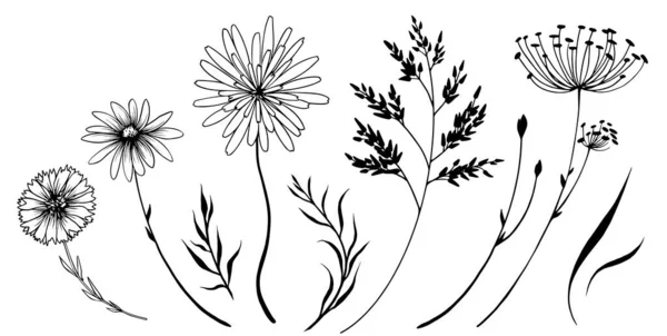 Set Decorative Wild Meadow Flowers Hand Drawn Black White Vector — Vector de stock