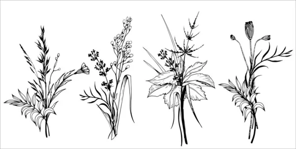 Set Wildflowers Bouquets Hand Drawn Black White Vector Illustration — Vector de stock