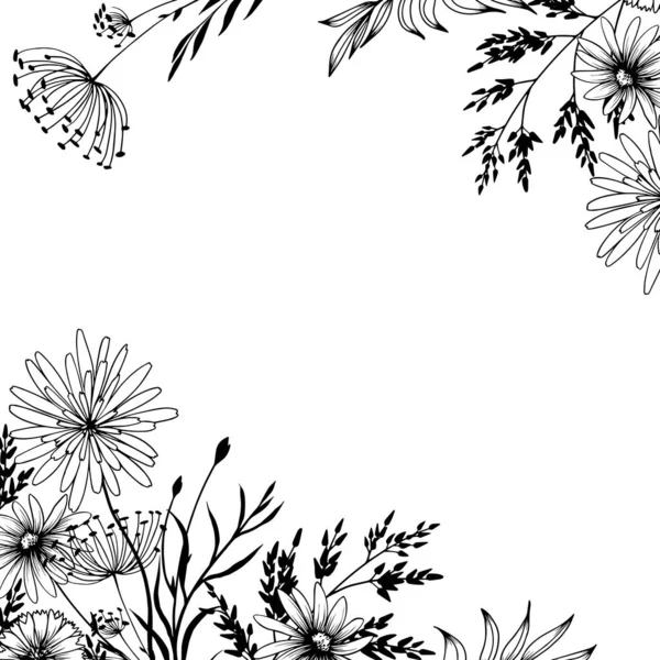 Square Frame Decorative Wild Meadow Flowers Hand Drawn Black White — Stockvektor