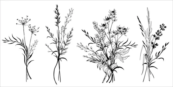 Set Wildflowers Herbal Bouquets Hand Drawn Black White Vector Illustration — ストックベクタ