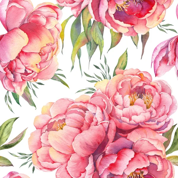 ピンクの牡丹の花とシームレスなパターン 白い背景の水彩イラスト — ストック写真