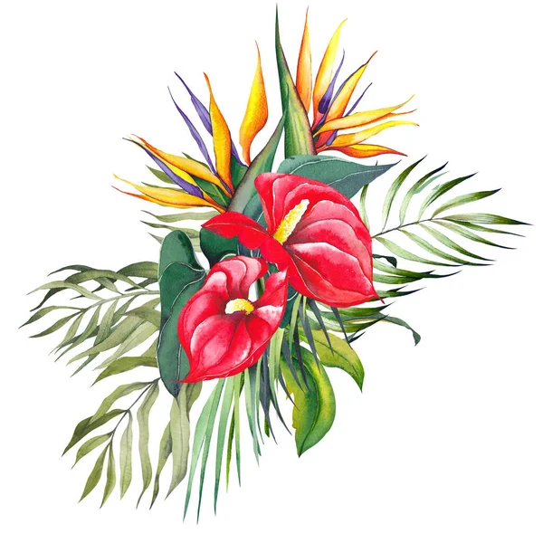 Kırmızı Zambak Strelitzia Çiçekleri Palmiye Yapraklarıyla Tropik Bir Buket Beyaz — Stok fotoğraf