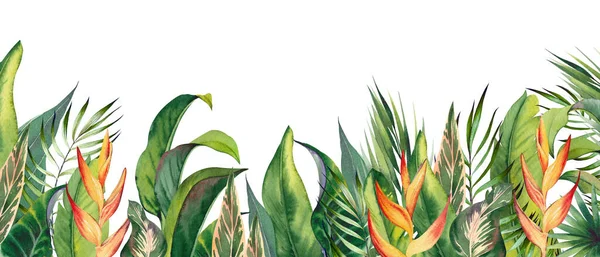 Bordo Tropicale Orizzontale Con Fiori Heliconia Foglie Palma Illustrazione Acquerello — Foto Stock