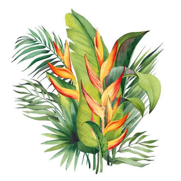 Tropischer Strauß Mit Helikonia Blüten Und Palmblättern Aquarell Illustration Auf — Stockfoto