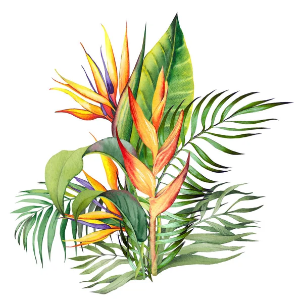 Tropikalny Bukiet Helikonią Strelitzią Liśćmi Palmowymi Ilustracja Akwarela Białym Tle — Zdjęcie stockowe