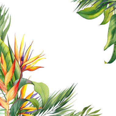 Strelitzia çiçekleri ve palmiye yapraklarıyla tropik kare sınır. Beyaz arkaplanda suluboya çizimi.