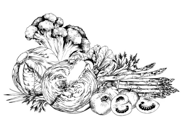 Брокколи Капуста Помидоры Зеленые Овощи Черно Белая Векторная Иллюстрация — стоковый вектор