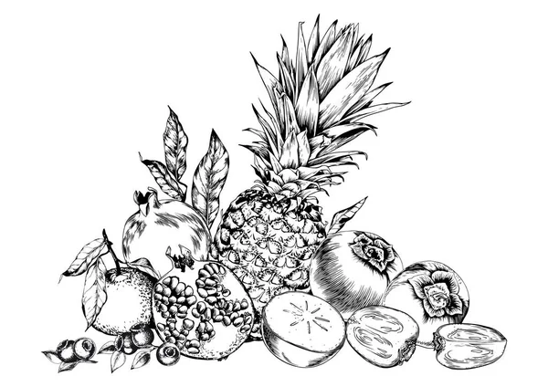 Piñas Granadas Frutas Dulces Ilustración Vectorial Dibujada Mano Blanco Negro — Vector de stock