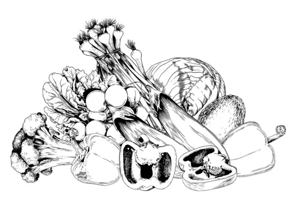 花椰菜 胡椒和青菜 黑白手绘矢量图解 — 图库矢量图片