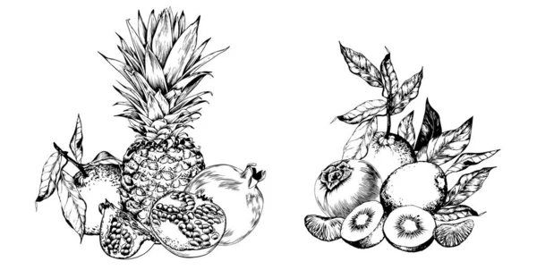 Ananas Granatäpfel Kiwi Und Süße Früchte Schwarz Weiße Handgezeichnete Vektorillustration — Stockvektor