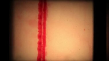 Vintage 8mm ekran lideri