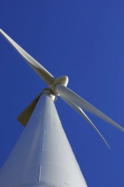 Rüzgar yenilenebilir enerji