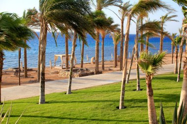 rekreasyon alanı, dahab, Mısır'daki lüks otel