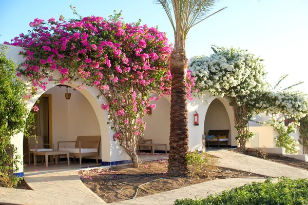 Prachtige veranda in het hotel, dahab, Egypte — Stockfoto