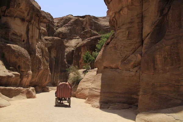 Корзина в Petra — стоковое фото