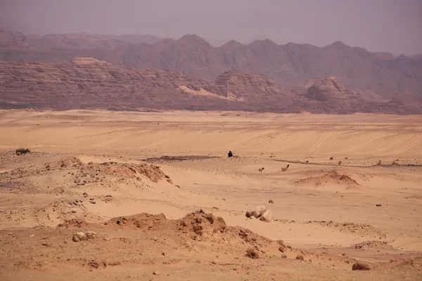 Colored canyon views (Sinai, Egypt) — Stock Photo, Image