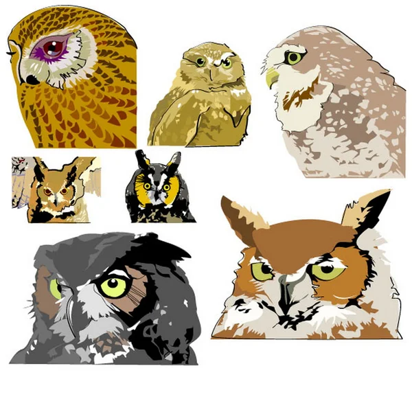 Set of different owls — Stock Vector