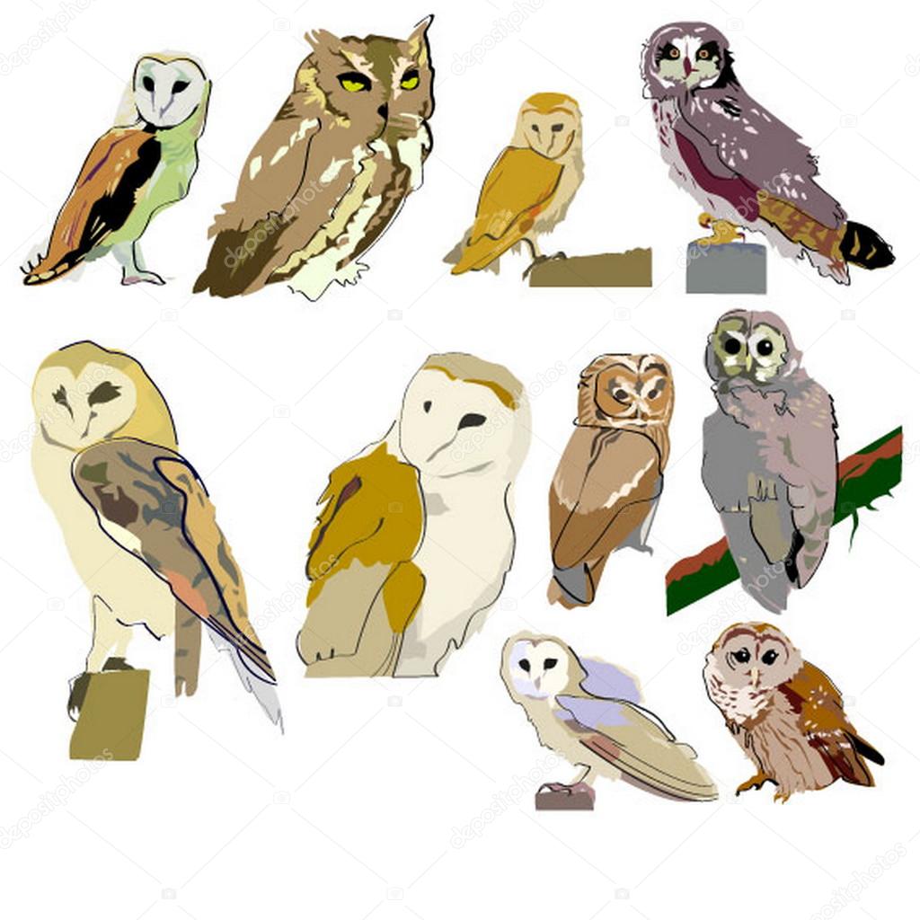 Set of owls