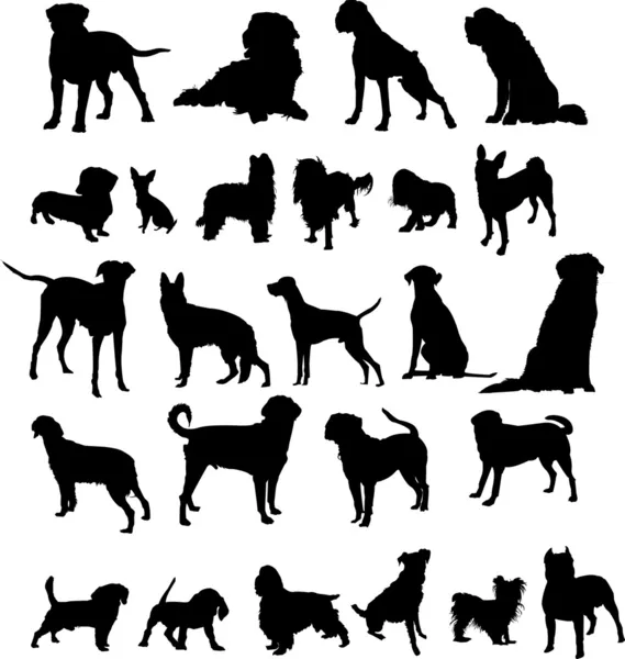 Köpekler illüstrasyon