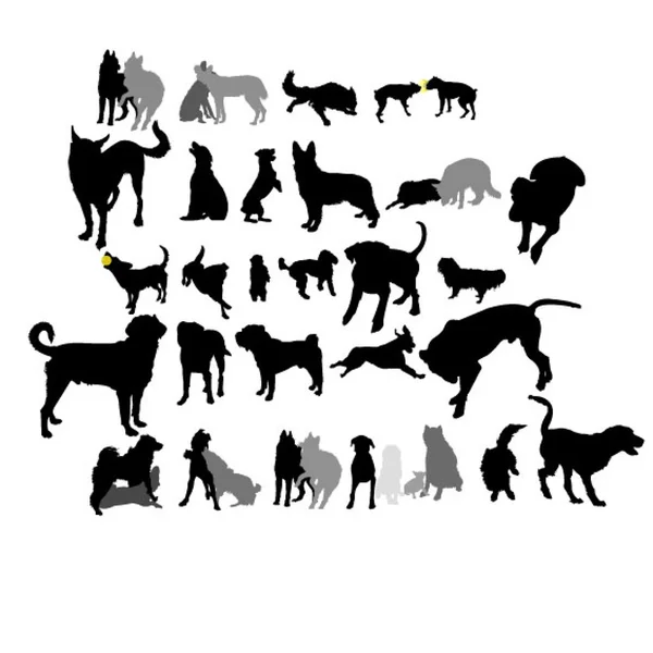Köpekler etkileşim içinde dizi