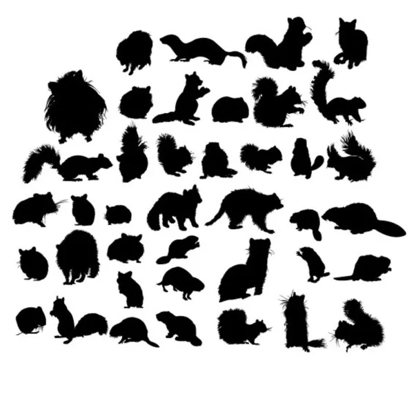 Conjunto de roedores salvajes — Archivo Imágenes Vectoriales