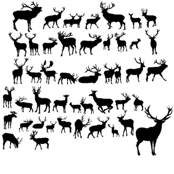 Set Black Deer White Background — Stock Vector