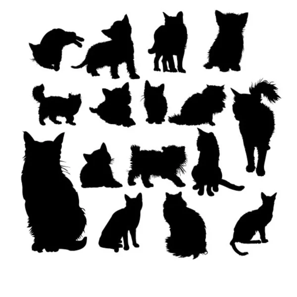 Set of different cats — Stock Vector