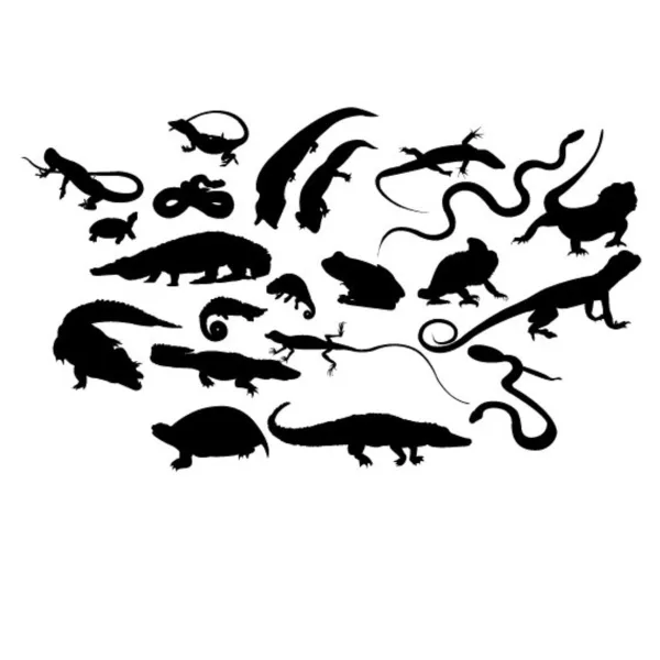 Set of reptiles — Stock Vector