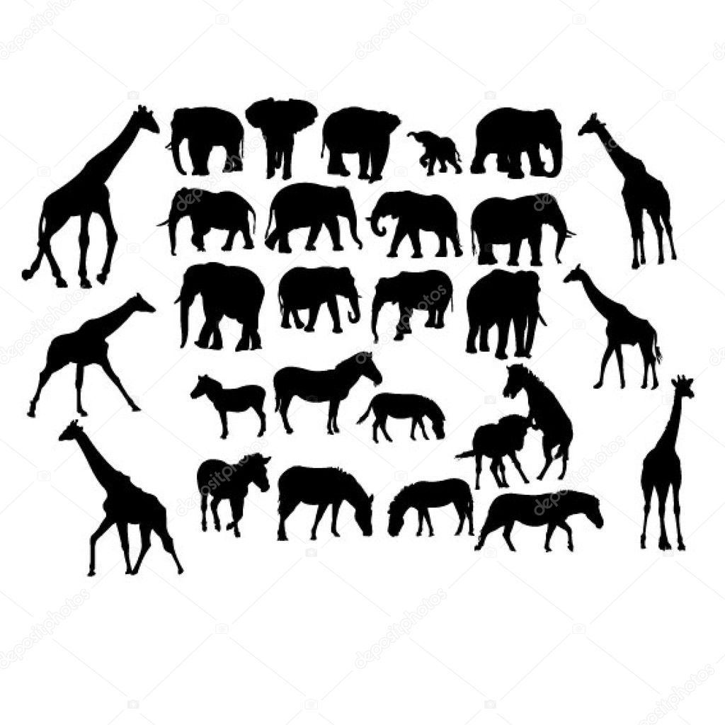 Set of safari animals