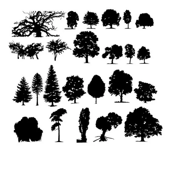 Ensemble de différents arbres — Image vectorielle