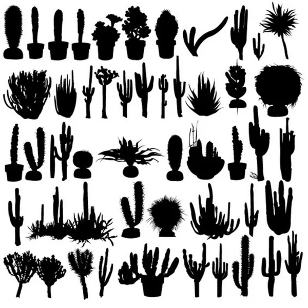 Set of cacti — Stock Vector