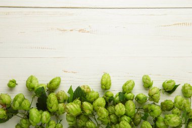 Beyaz ahşap arka planda bira ve ekmek yapmak için yeşil taze kozalaklar. Üst görünüm