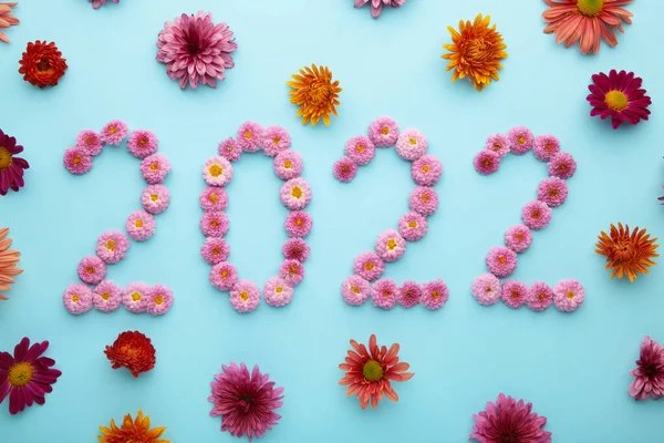 2022 Год Свежих Цветов Новым Годом Украшения Вид Сверху — стоковое фото