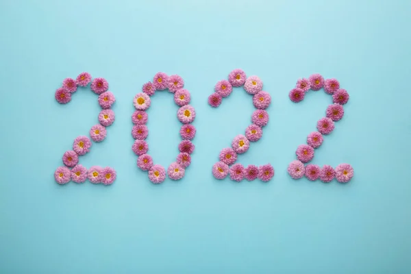 2022 Живых Цветов Синем Фоне Вид Сверху — стоковое фото