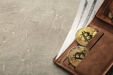 Bitcoin para ve para gri arka planda cüzdanda. Üst görünüm