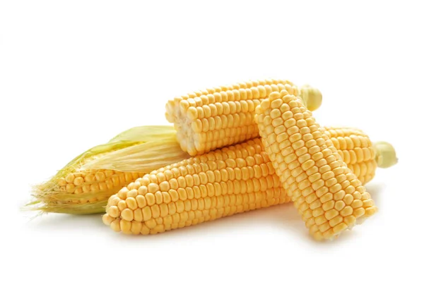 Corn Isolated White Background Top View — Fotografia de Stock