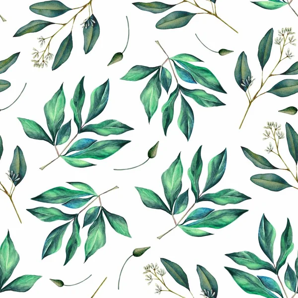 Çiçekli suluboya arkaplan, kompozisyon, yeşil yapraklı, pembe çiçekler. Düğün davetiyeleri, duvar kağıtları, moda için. Gül, manolya, yeşil yapraklar, agapanthus. Beyaz arkaplanda resimler