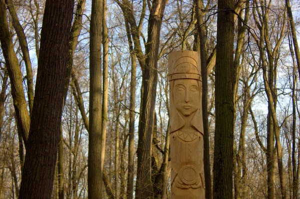 公园里异教徒神像的庙宇木制雕像森林中的庙宇 — 图库照片