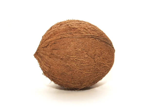 Coconut on a white background — Stock Photo, Image