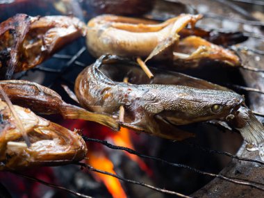 Tadı daha lezzetli olsun diye sigara içilen yayın balığı resmi.