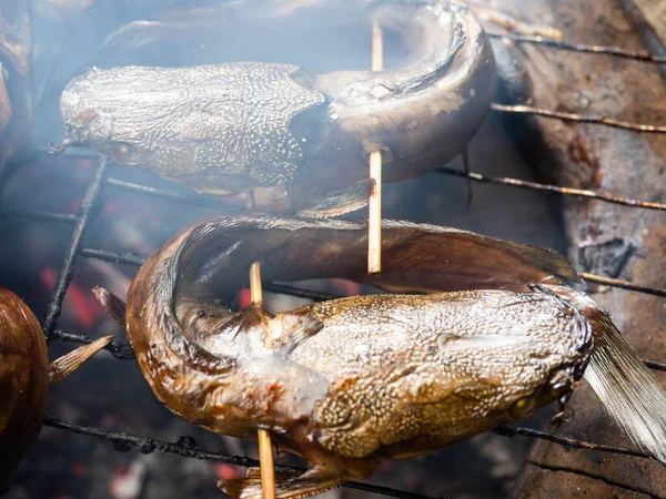 Foto Van Meerval Die Een Rookproces Dat Smaak Lekkerder Maakt — Stockfoto