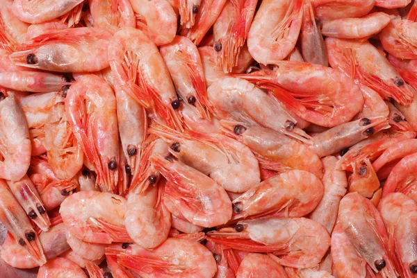 Prawns — Stock Photo, Image