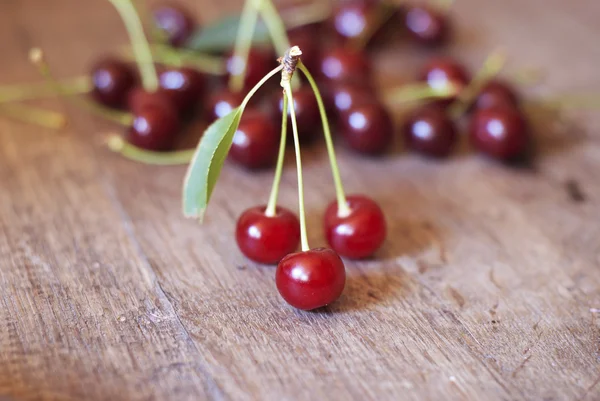 Cherry — Stock Photo, Image