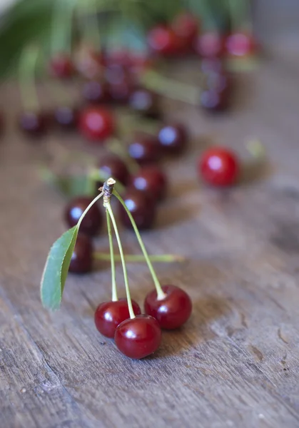 Cherry — Stock Photo, Image