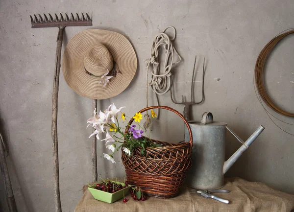 Outils de jardin — Photo