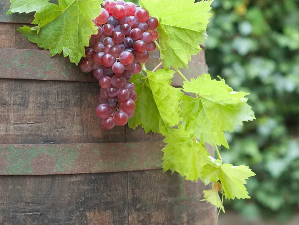 Barrel — Stock Photo, Image